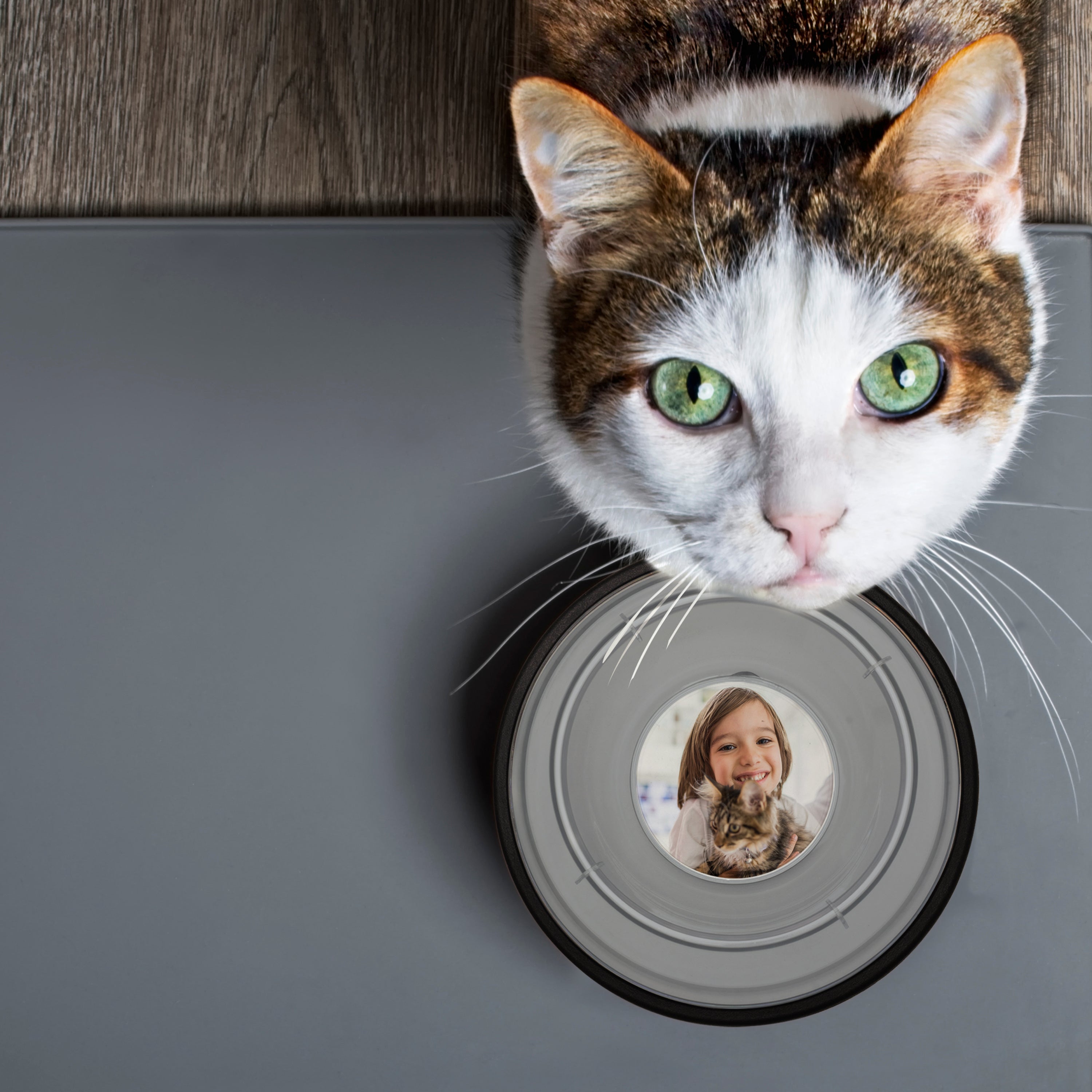 Photo Pet Bowls