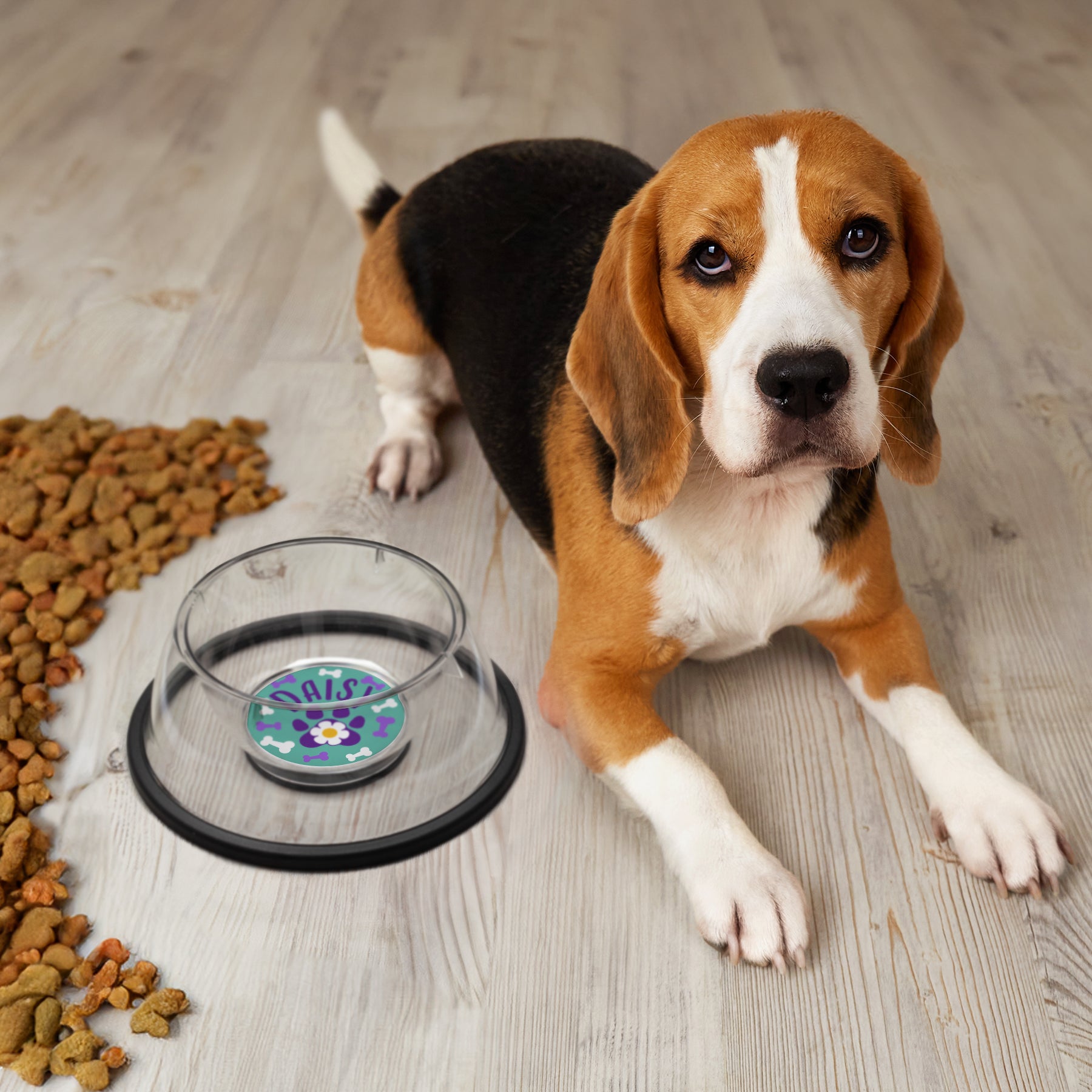 Photo Pet Bowls