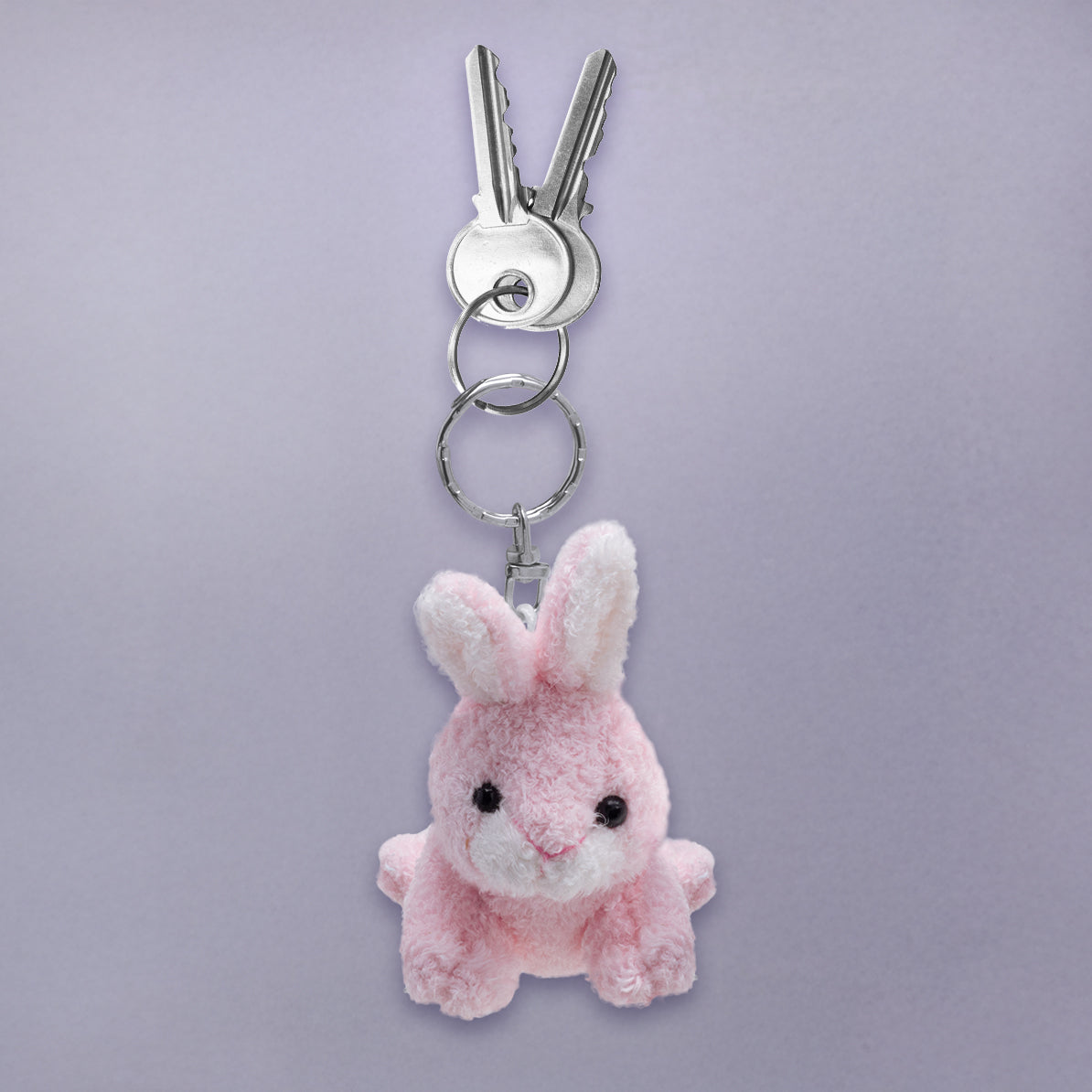 Soft Touch Bunny Picture Frame