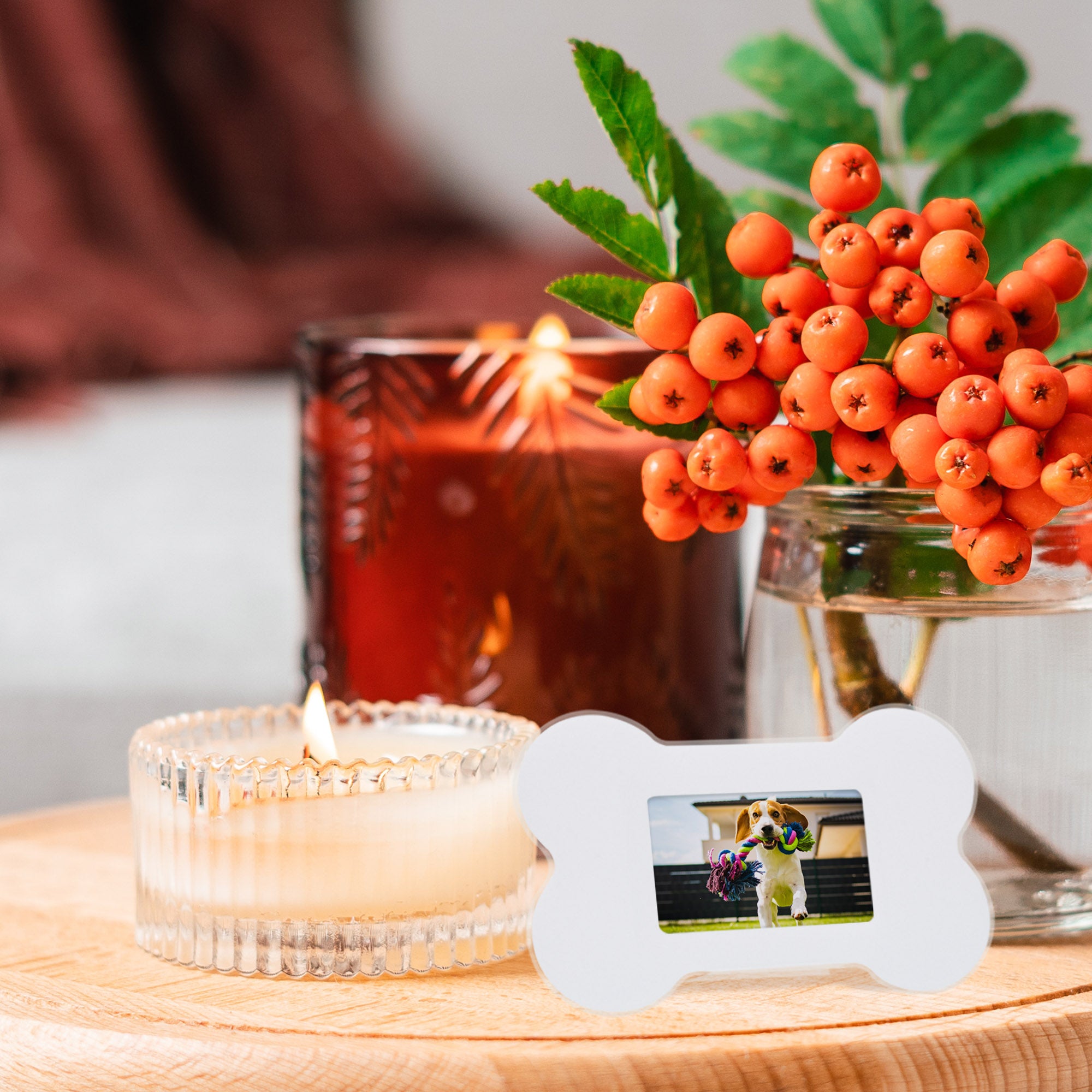 Dog Bone Picture Frame