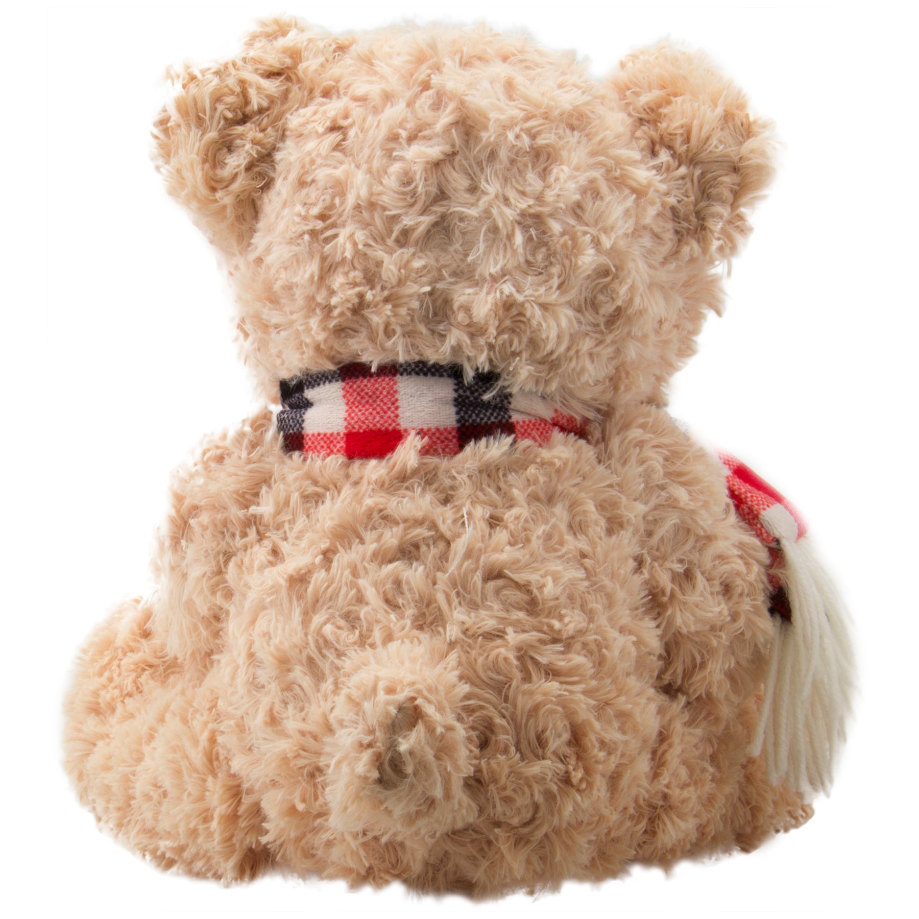 Oso de peluche con marco de fotos