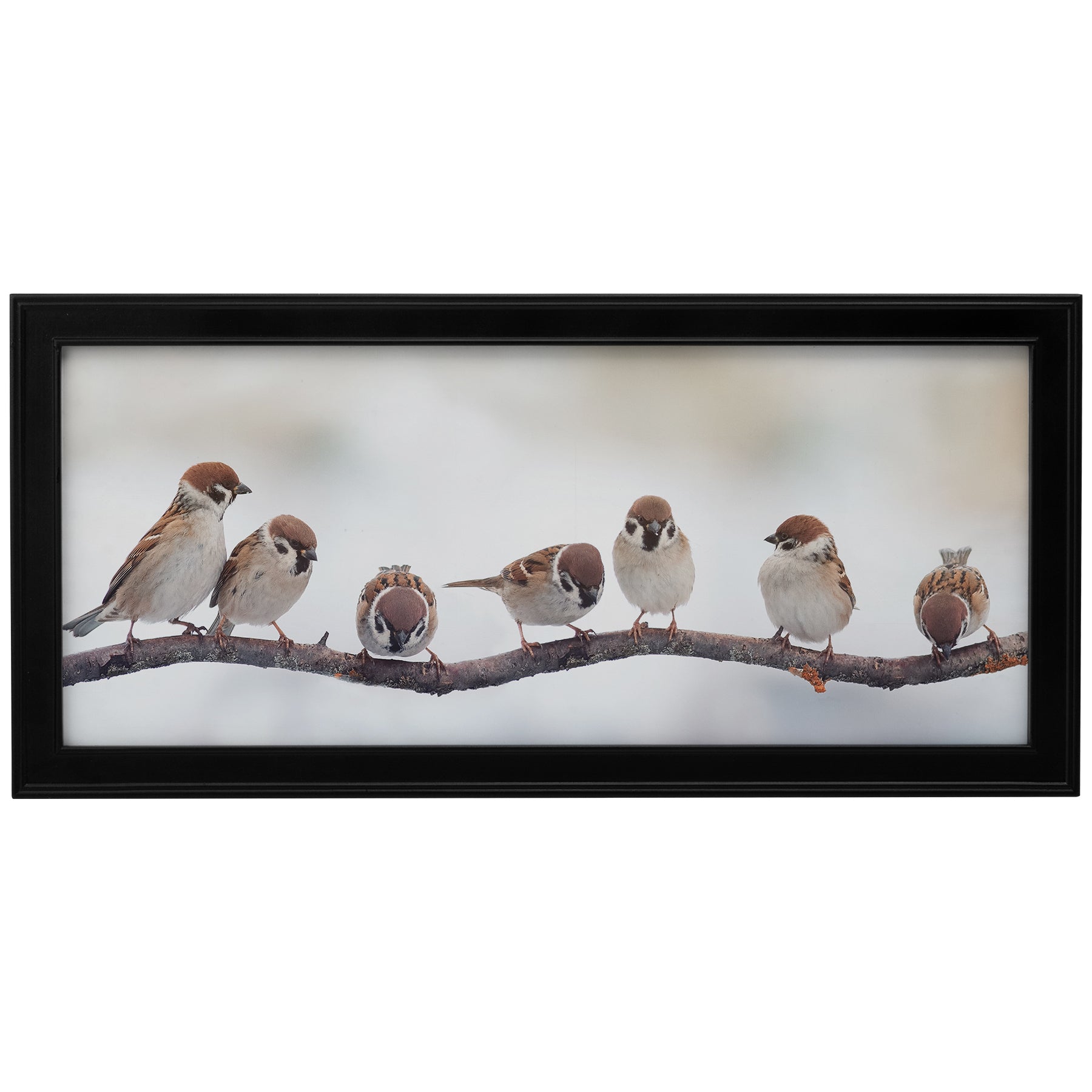 Traditional Panoramic Picture Frames