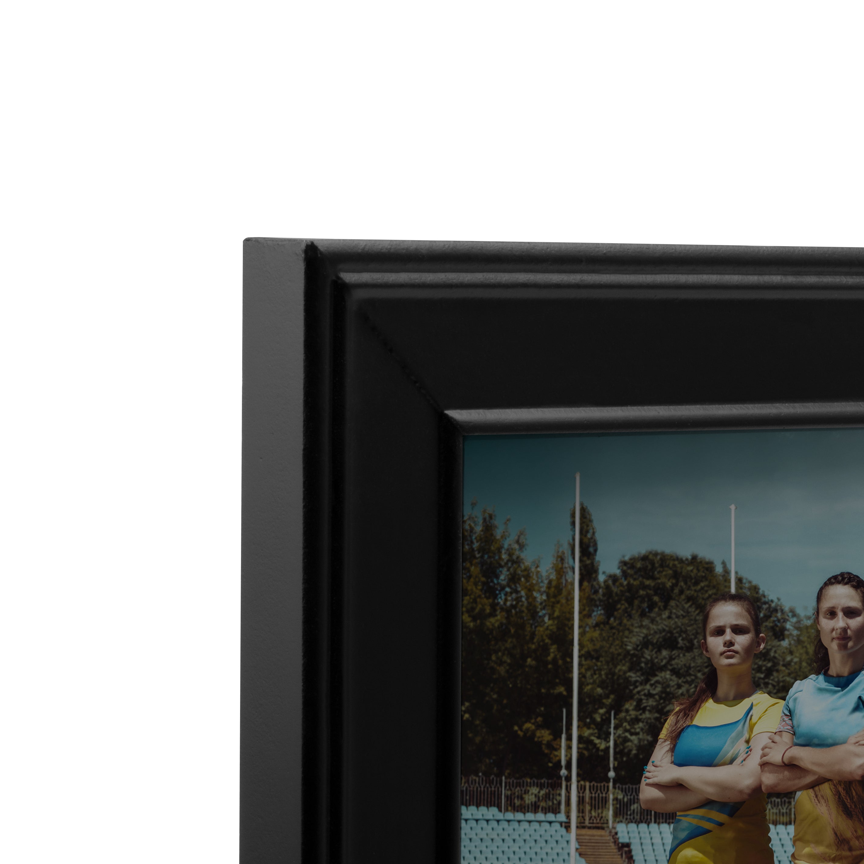 Traditional Panoramic Picture Frames