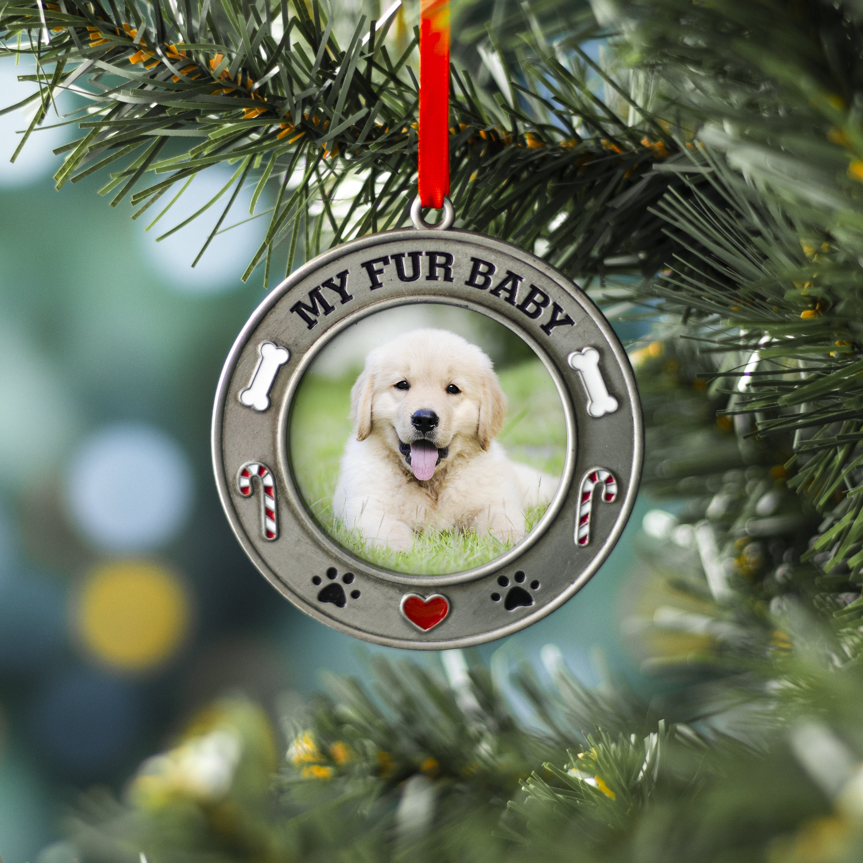A pewter photo ornament with the text 'MY FUR BABY' featuring a picture of a dog, adorned with colorful enamel dog bones, candy canes, and paw prints hanging on a Christmas tree by a red velvet ribbon.