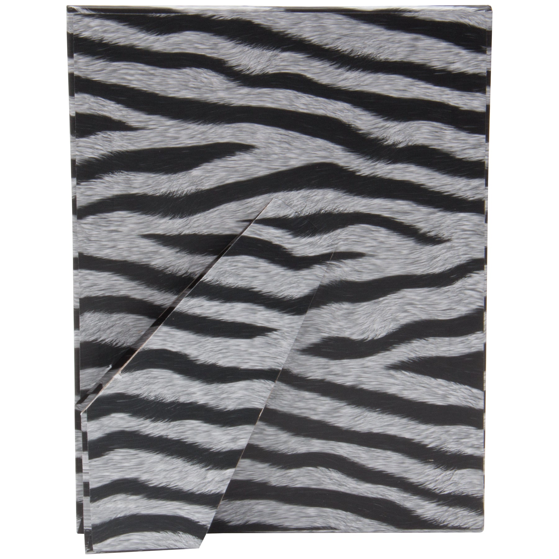 Zebra Paper Picture Frame