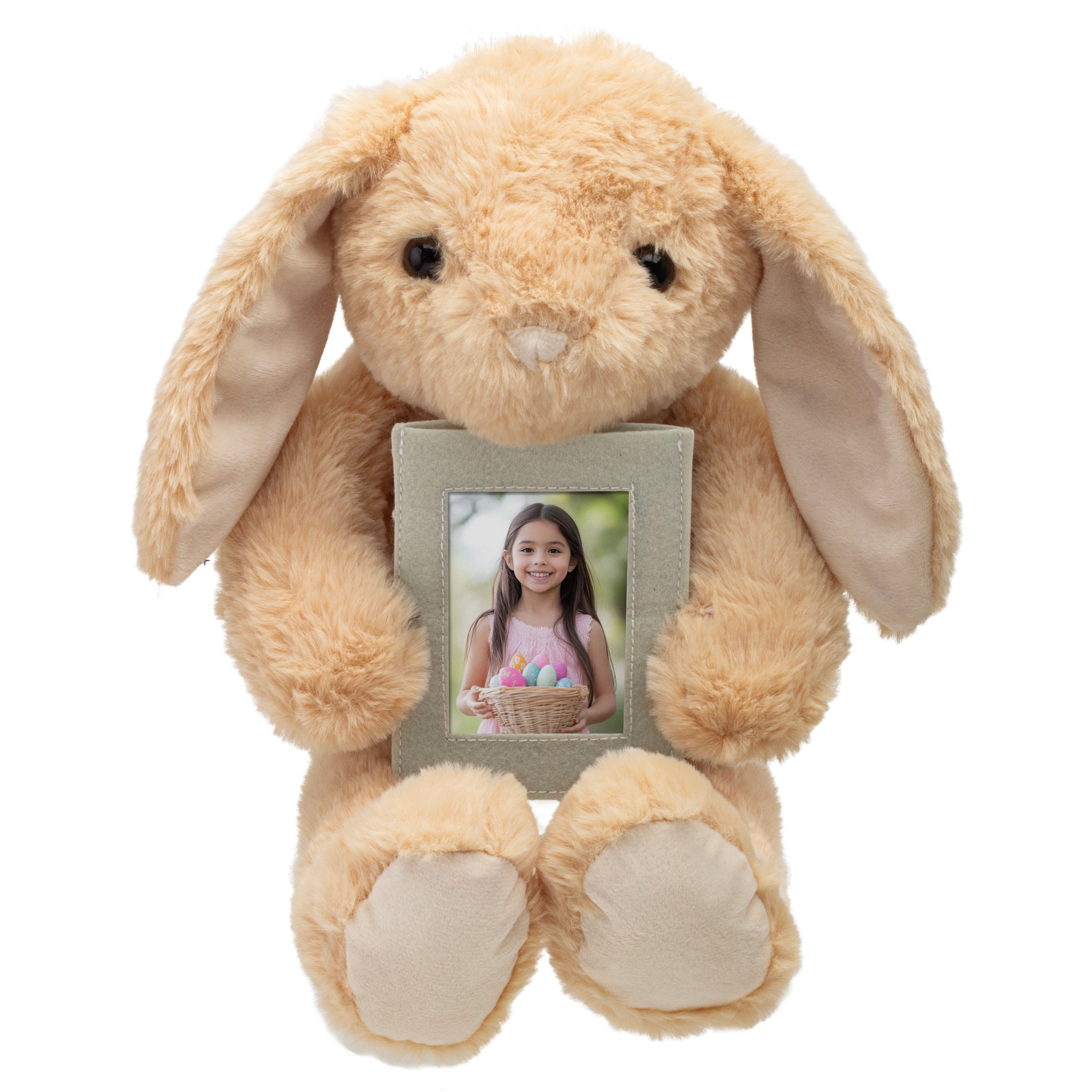 Bunny Rabbit Plush with Picture Frame