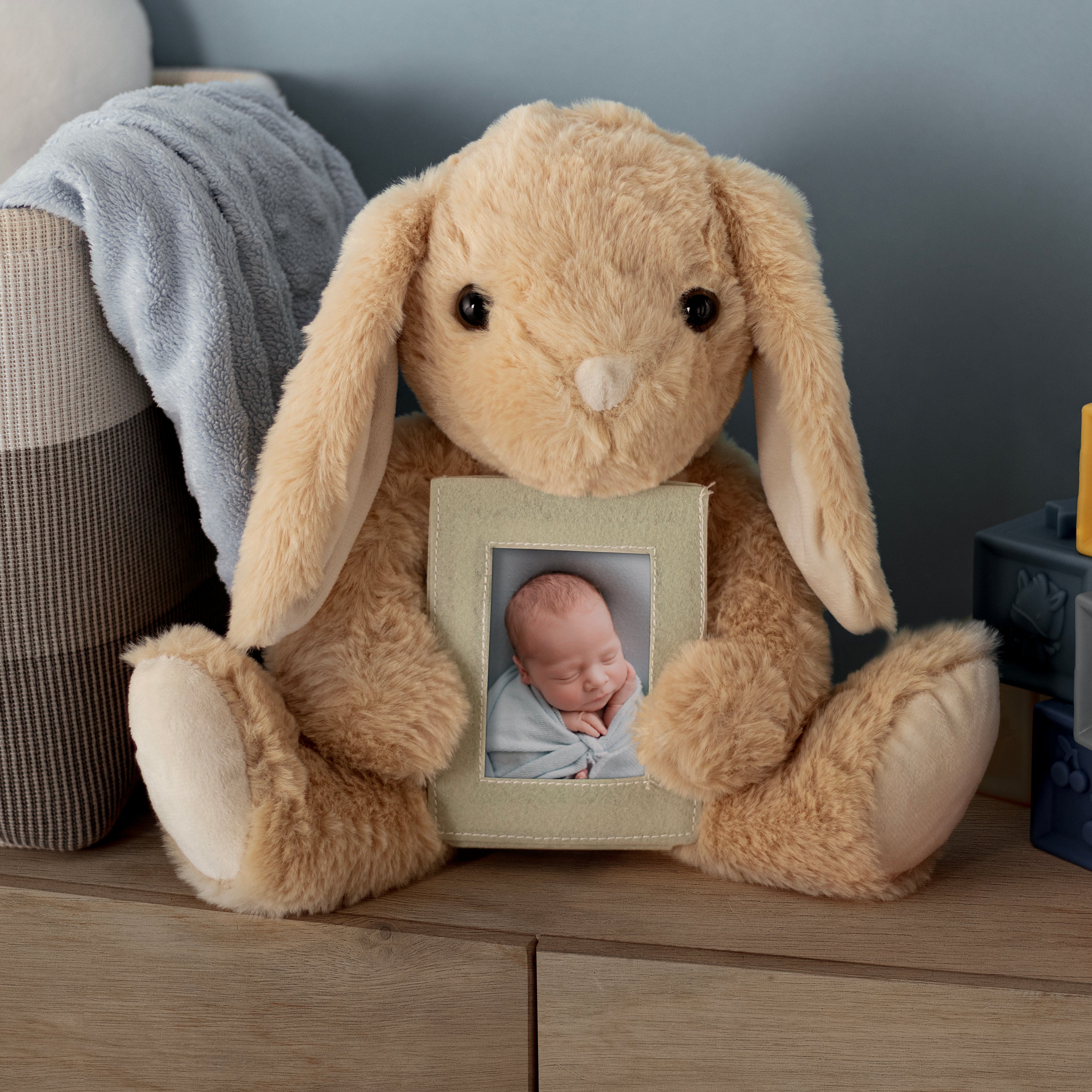 Bunny Rabbit Plush with Picture Frame