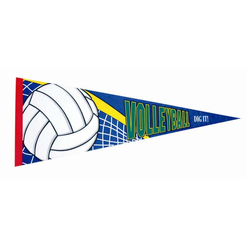 Banderín fotográfico de voleibol