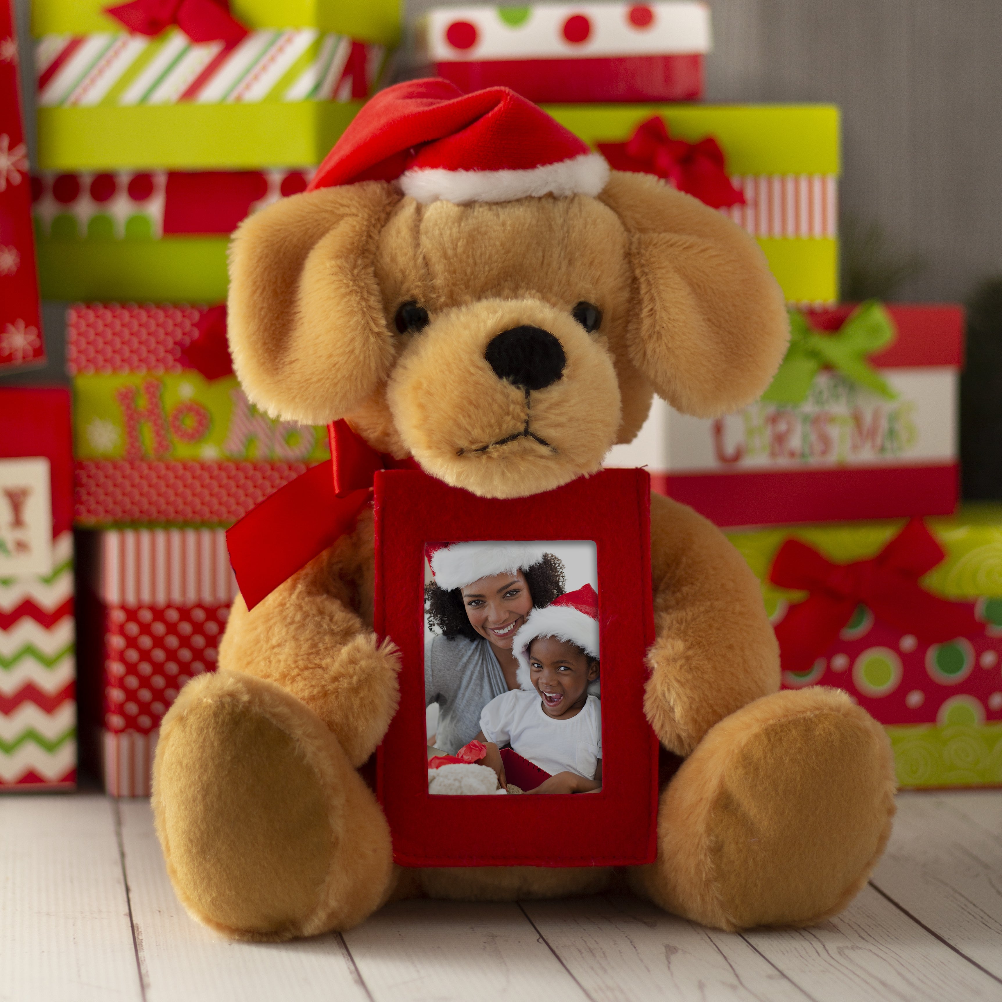 Perro Papá Noel con marco de fotos